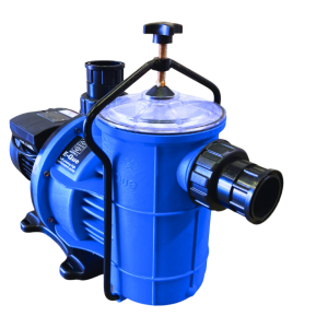 POOL PUMP AND MOTOR 0.75KW EARTHeCO (EQ/EQUE)