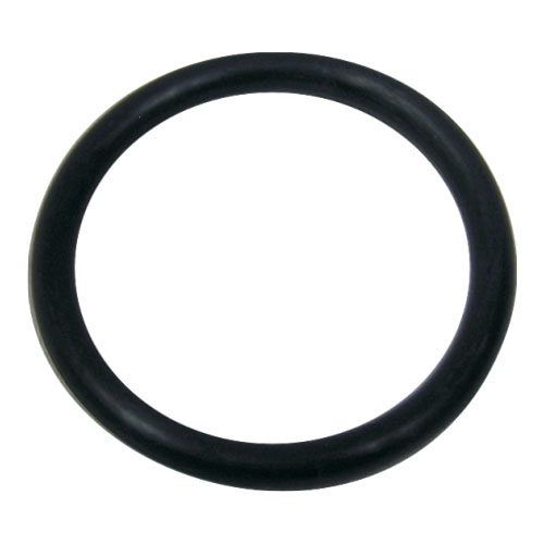 POOL FILTER TANK FITTING WITH UNION AND O RING AQUAMAX (WHITE) - Image 4