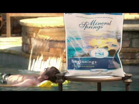 SALT POOL BIOGUARD MINERAL SPRINGS BEGINNINGS - Image 2