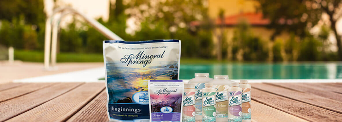 SALT POOL BIOGUARD MINERAL SPRINGS BEGINNINGS - Image 3