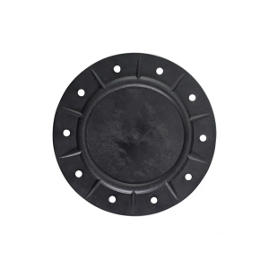 POOL FILTER LID SWIMQUIP 520 WITH O RING