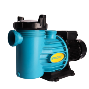 POOL PUMP AND MOTOR BARACUDA TITAN 2 SS 0.75KW