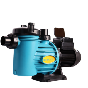 POOL PUMP AND MOTOR BARACUDA TITAN2 ECO VS