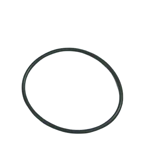 POOL PUMP LID O RING RAPID EARTHECO - Image 2