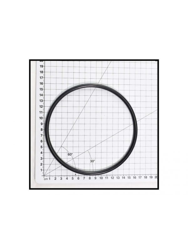 SPECK PUMP LID O-RING 90 SERIES - Image 2